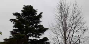 La mínima de hoy Lunes fue de 3,2 ºC