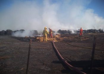 Camilo Aldao: Se incendiaron 20 hectáreas de soja y 60 rollos de fardo