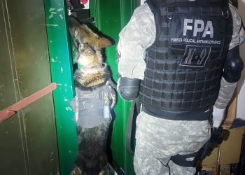 Marcos Juárez: Caen dos referentes Narcos