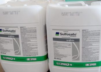 Robaron 100 bidones de Sulfosato en el Establecimiento Catriel