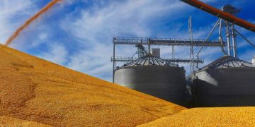 El campo, en alerta por la suspensión de la exportación de maíz