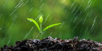 El otoño va a ser uno de los mejores de los últimos 30 años