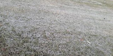 Primer helada del año