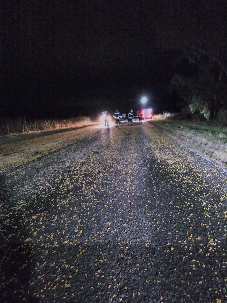 Leones: Derrame de cereal sobre Ruta N°9 km 474