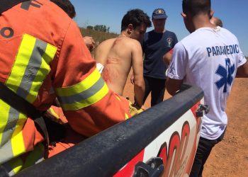 Bombero herido por un oso hormiguero