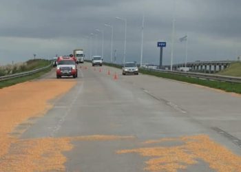 Leones: Derrame de maíz en autopista