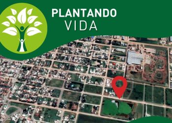 Se llevó a cabo con éxito el «Plantando Vida» éste Domingo