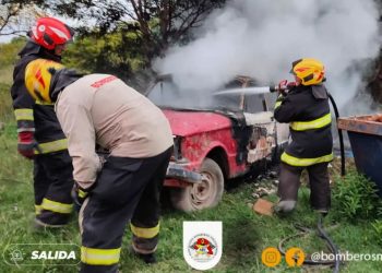 Incendio en Antártida Argentina y Lapacho