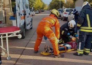 Leones: Persona menor de edad atropellada