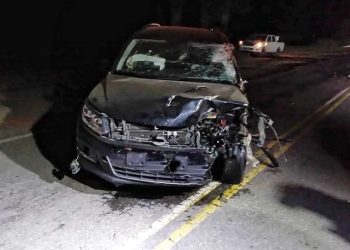 Auto embistió camión en Ruta Nº 12