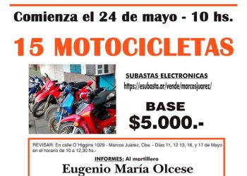 Comenzó hoy subasta electrónica