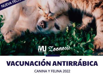 Atención: Hoy vacunación antirrábica en barrio Sur