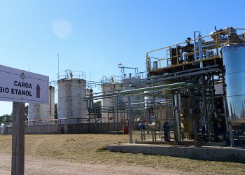 Biodiésel: Establecimiento Las Chilcas se sumará a la producción