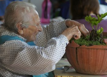 Asesoría gratuita ante vulneración de derechos de personas mayores