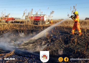 Incendio de pastos y cañas a la vera de vías férreas
