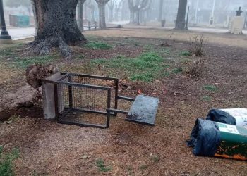 Vandalismo en la ciudad