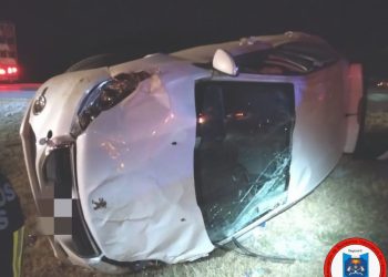 Leones: Vuelco en solitario en autopista km 443