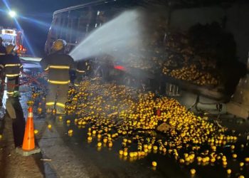 Gral. Roca: se incendió un Semi Sailers que transportaba limones, en Autopista km 404