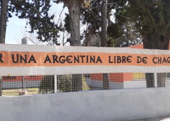 Este viernes se conmemoran los días del Chagas y el Dengue