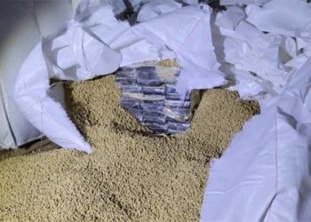 Rosario: 1500 kilos de cocaína secuestrada tenían como destino Dubai