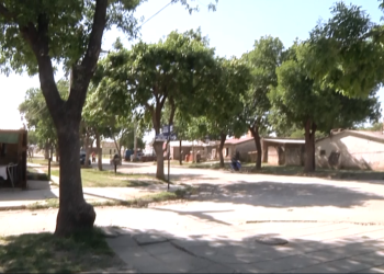 Reclamo de un vecino por un árbol