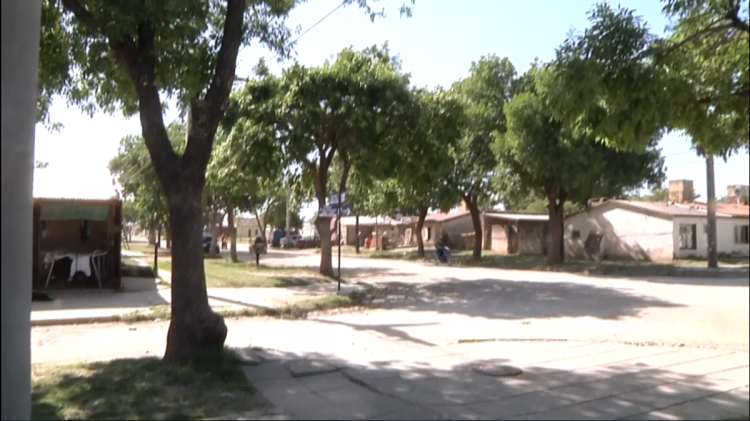 Reclamo de un vecino por un árbol