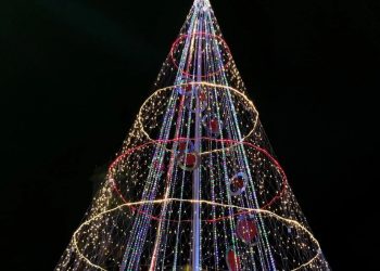 El árbol de Navidad ya ilumina el corazón de la ciudad