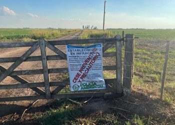 Leones: Policía ambiental labró acta de infracción, por intervención forestal