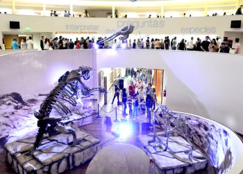 Museos en verano: horarios y todo lo que hay que saber