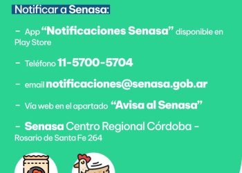 Alejo Ledesma: Senasa confirmó un nuevo caso de influenza aviar, a partir de análisis realizados en pavos