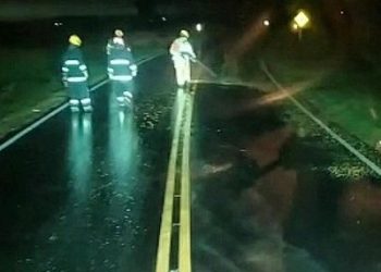 Despiste de auto y derrame de maíz en Ruta Nº 12, bajo la lluvia