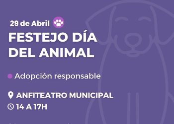 Día del animal: adopción, tenencia responsable y vacunación