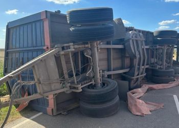 Leones: volcó camión cargado de cereal, en Ruta E-59