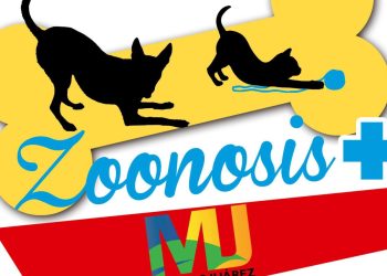 Buscan dar solución a la sobrepoblación de perros y gatos