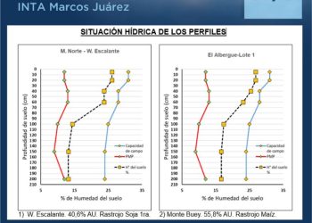 INTA: situación hídrica de los perfiles