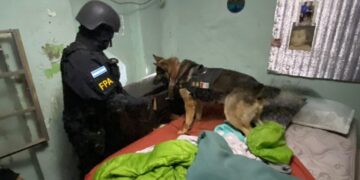 Ex Boxeador junto a su hermano detenidos por comercializar cocaína en Leones