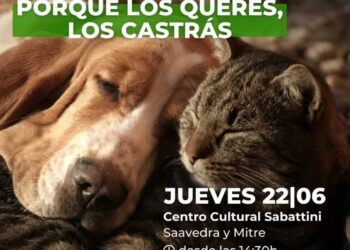 Castración gratuita en el Centro Cultural Sabattini