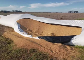 Santa Fe: productor indignado por un cuantioso robo en su campo de Las Rosas
