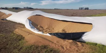 Santa Fe: productor indignado por un cuantioso robo en su campo de Las Rosas