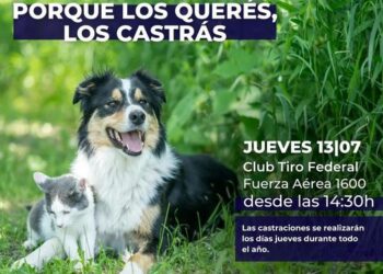 Este jueves castraciones en el Club Tiro Federal
