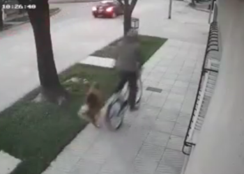 Hurto de bicicleta a señora mayor