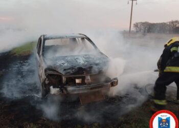 Leones: incendio vehicular en ruta E59, km 20
