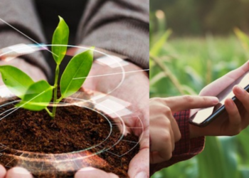 Tecnología agropecuaria: inscripciones abiertas para la misión a Israel