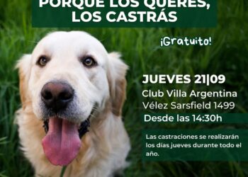 Castraciones masivas: este jueves en el Club Villa Argentina