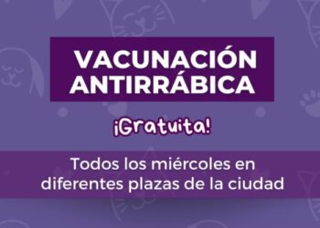 Vacunación Antirrábica: éste miércoles será en Plaza Espinillos