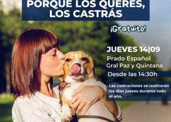 Castración gratuita: este jueves en el Prado Español
