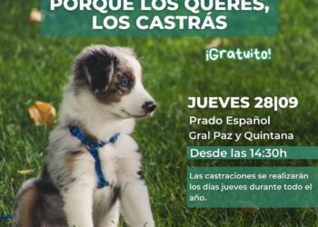 Programa de Castraciones anual: este jueves en el Prado Español