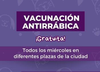 Campaña de Vacunación Antirrábica gratuita en la ciudad de Marcos Juárez