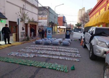 Importante cargamento de hojas de coca interceptado: actuó Policía Caminera de Cba. y Policía Federal de Bell Ville