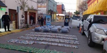 Importante cargamento de hojas de coca interceptado: actuó Policía Caminera de Cba. y Policía Federal de Bell Ville